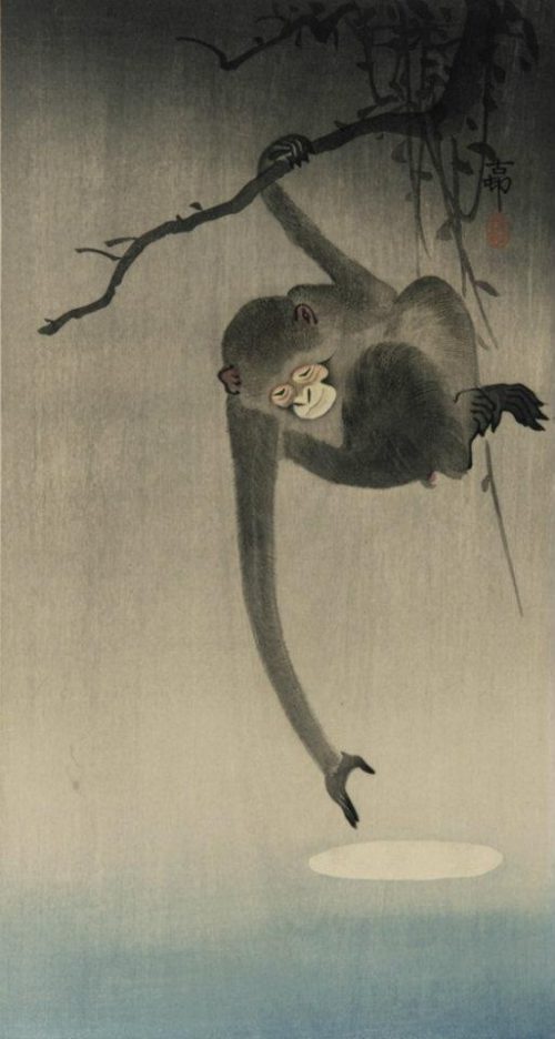 Ohara Koson (Shoson), Singe essayant d'attraper le reflet de la lune,1910